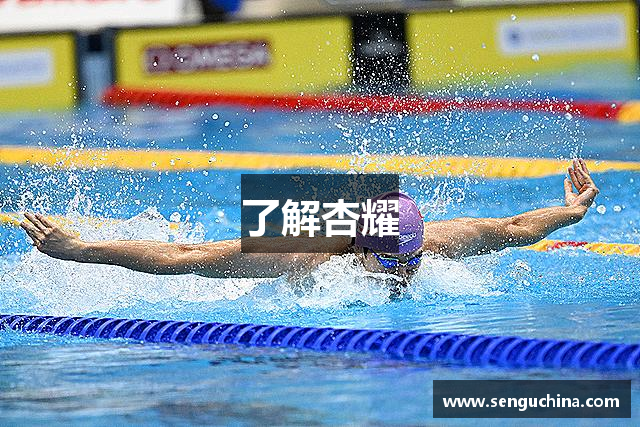 了解杏耀